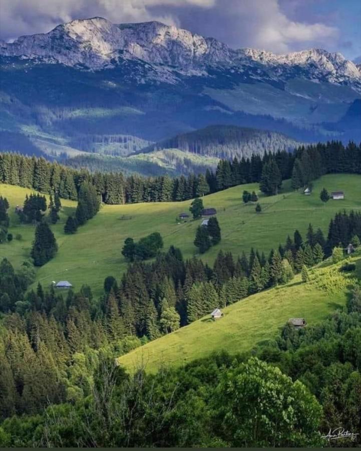 Отель Casa Maria Moieciu C Моечиу-де-Сус Экстерьер фото